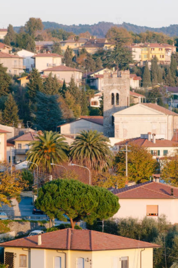Corsanico tra gli ulivi