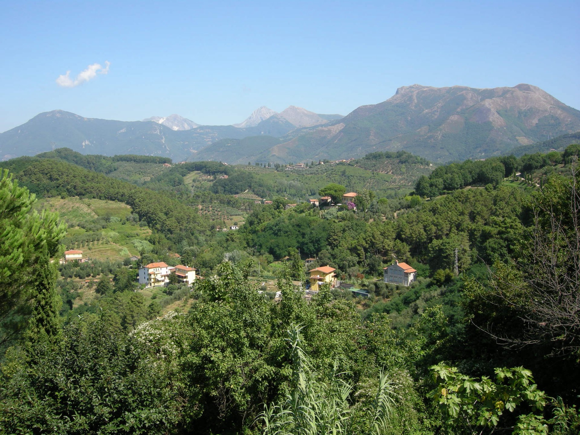 Vista di Massarosa con le Alpi Apuane sullo sfondo