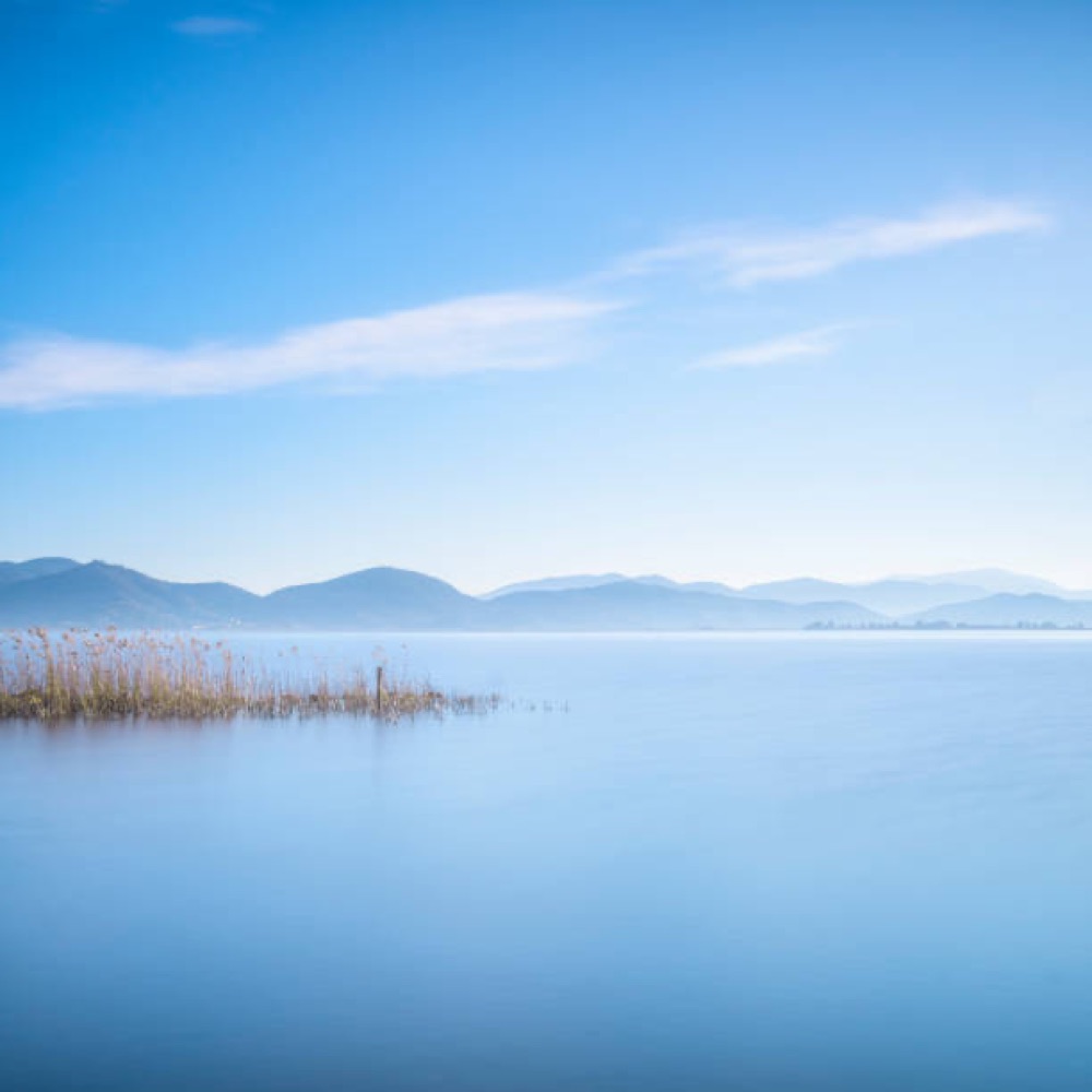 Canneto e specchio d'acqua del lago